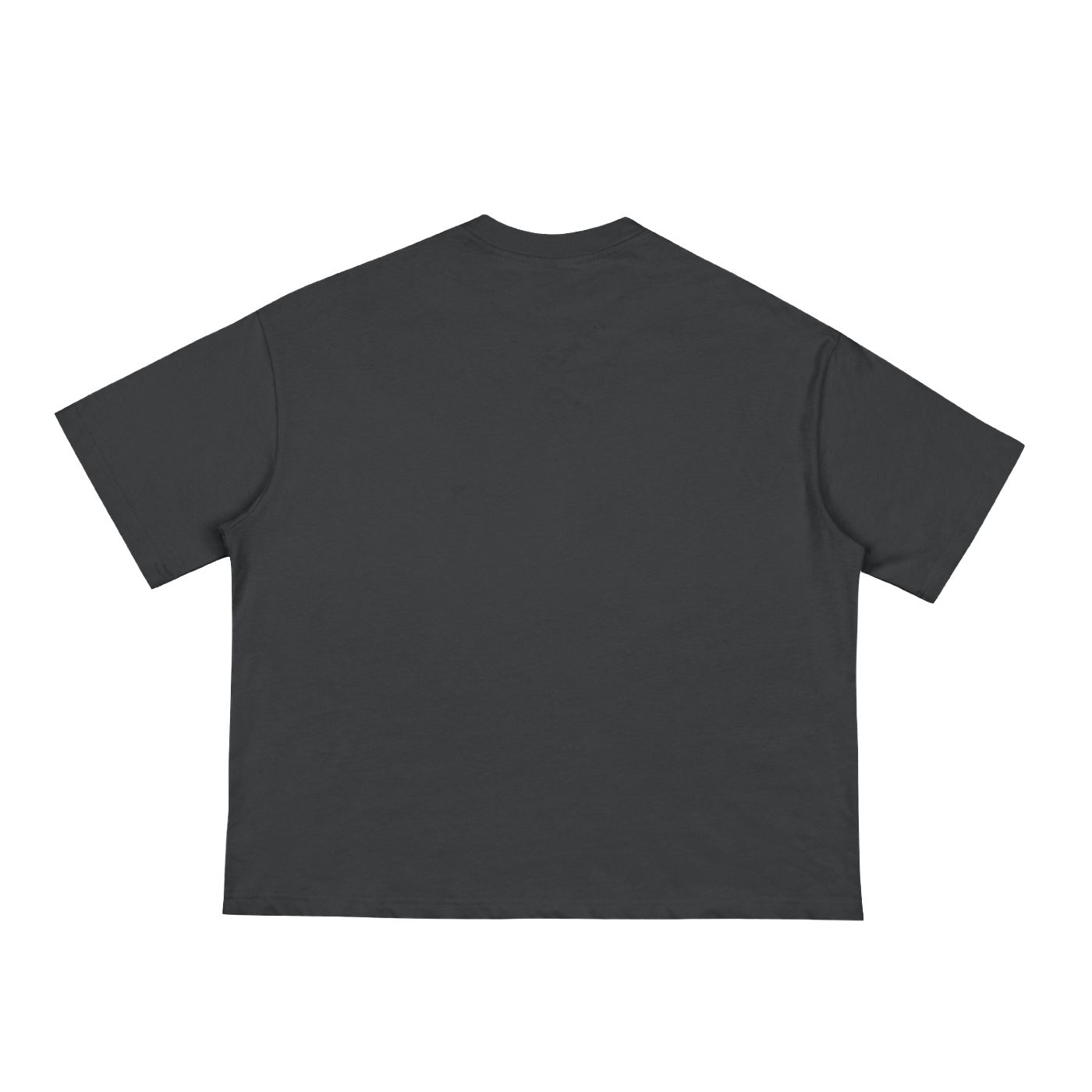 Wild Disciple Classic Loose Boxy Tee