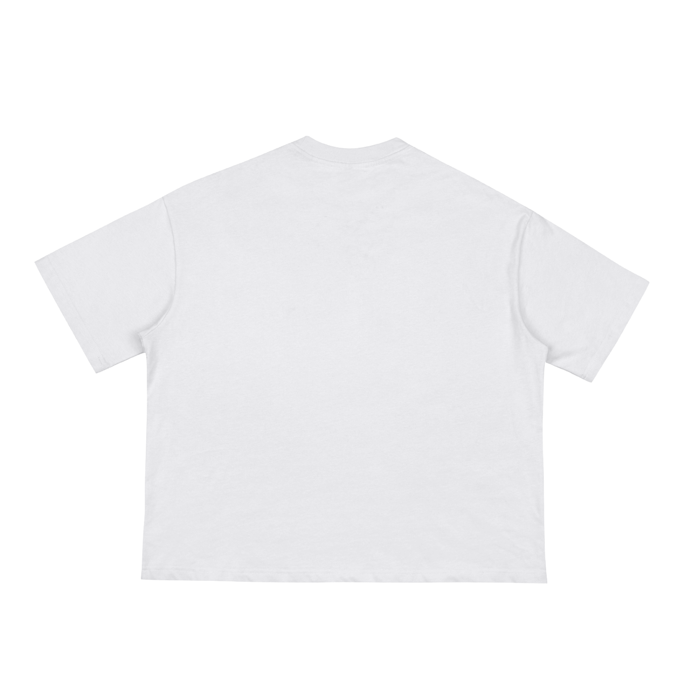 Wild Disciple Classic Loose Boxy Tee