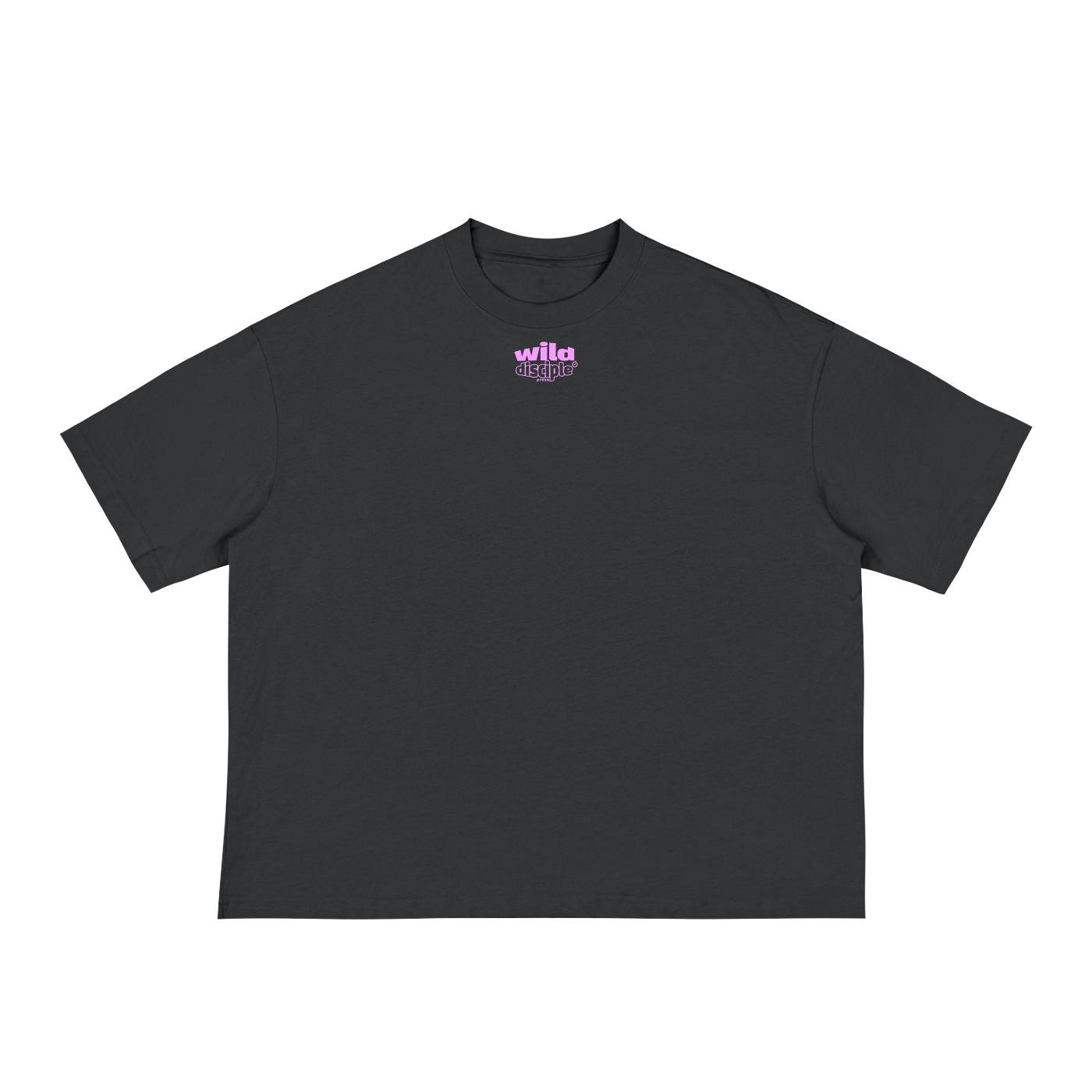Wild Disciple Classic Loose Boxy Tee